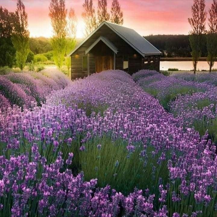 KÜÇÜK BİR ERKEK ÇOCUĞU